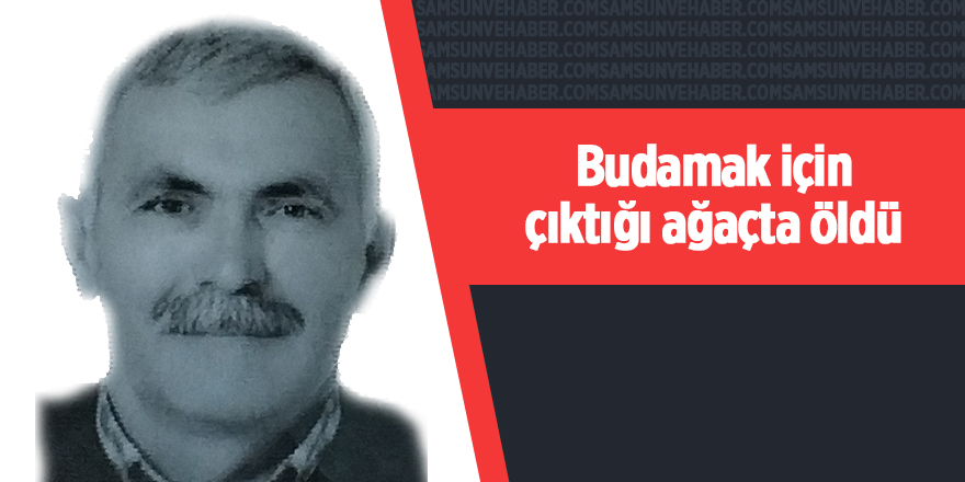 Samsun'da yaşlı adam budamak için çıktığı ağaçta öldü