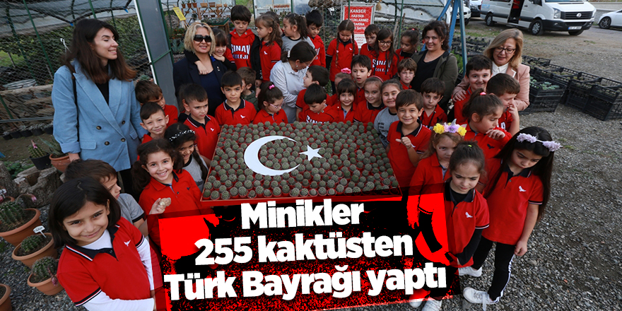 Minikler 255 kaktüsten Türk Bayrağı yaptı