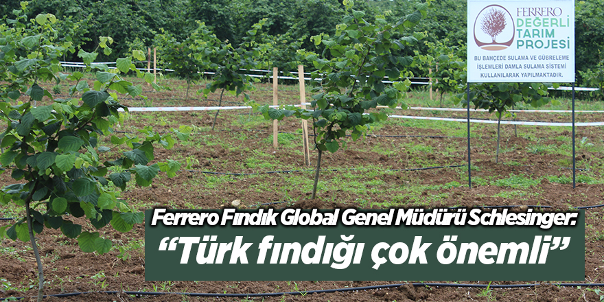 Ferrero Grup Fındık Şirketi Global Genel Müdürü Schlesinger’den inceleme