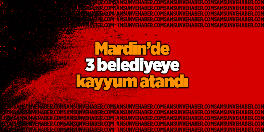 Mardin’de 3 belediyeye kayyum atandı