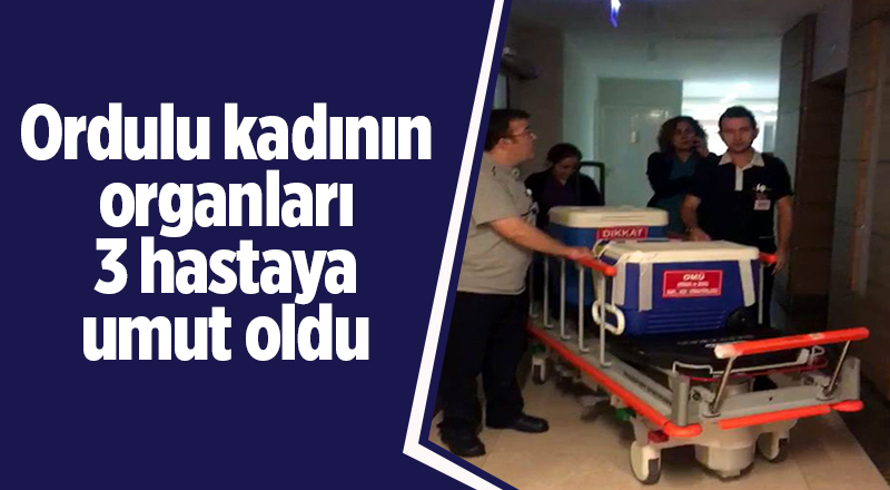 Ordulu kadının organları 3 hastaya umut oldu