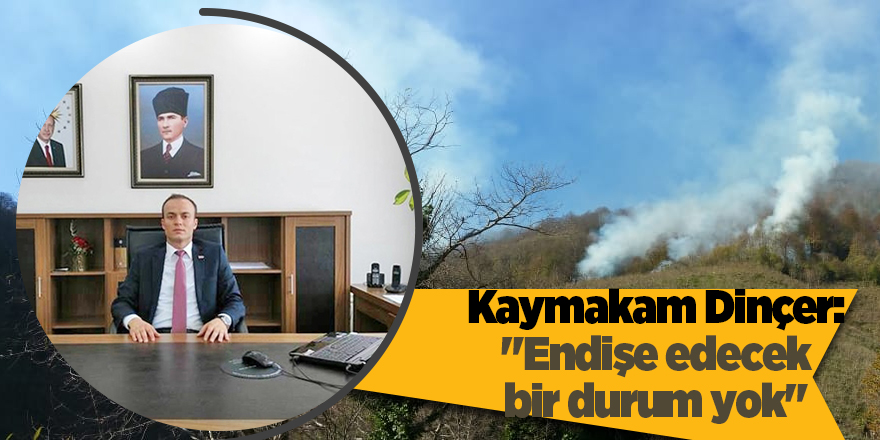 Salıpazarı Kaymakamı Dinçer'den orman yangını açıklaması