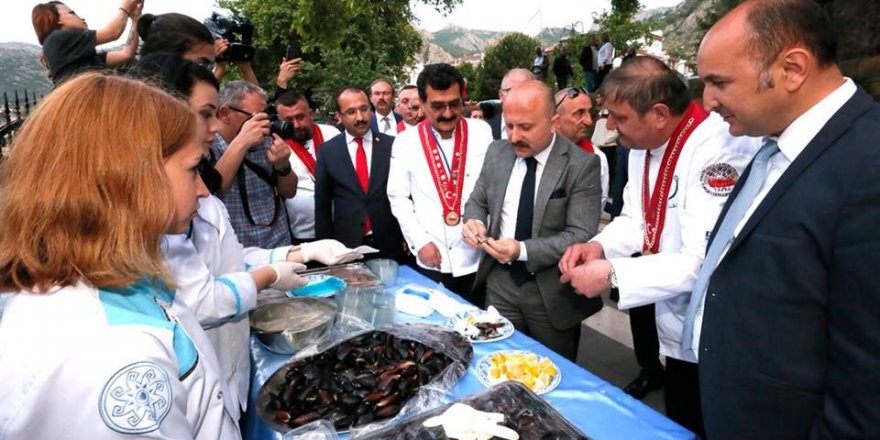 Amasya'da 'Sokak Lezzetleri Şöleni' gerçekleşti