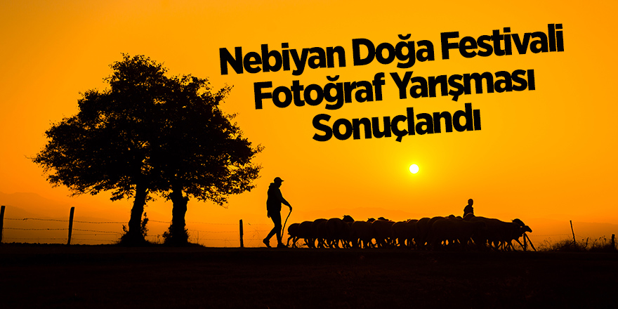 158 fotoğraf arasından seçildiler