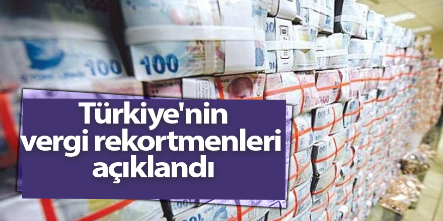 Türkiye'nin vergi rekortmenleri açıklandı