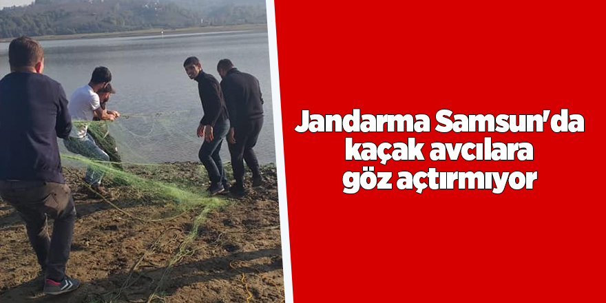 Jandarma Samsun'da kaçak avcılara göz açtırmıyor