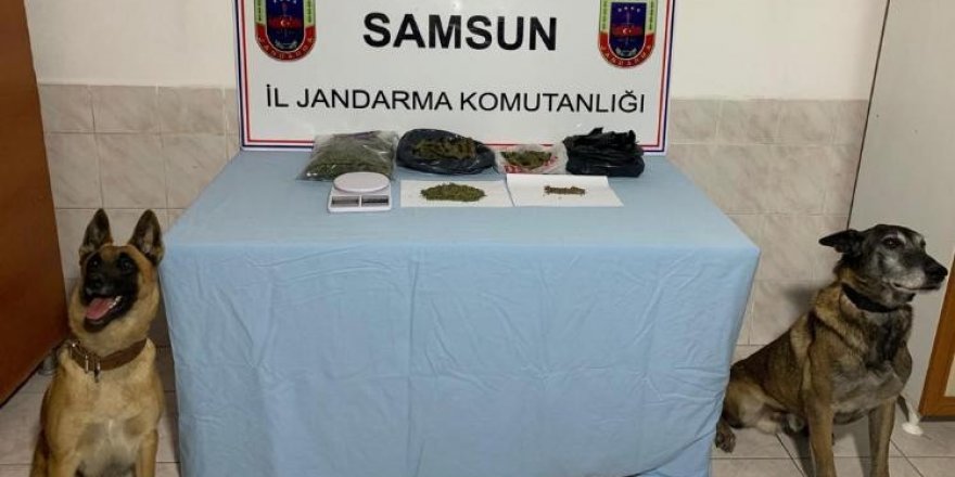 Samsun'da iş yerinde uyuşturucu ticareti: 1 gözaltı