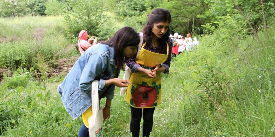 Samsun'da Yöresel Ot Yemekleri Festivali