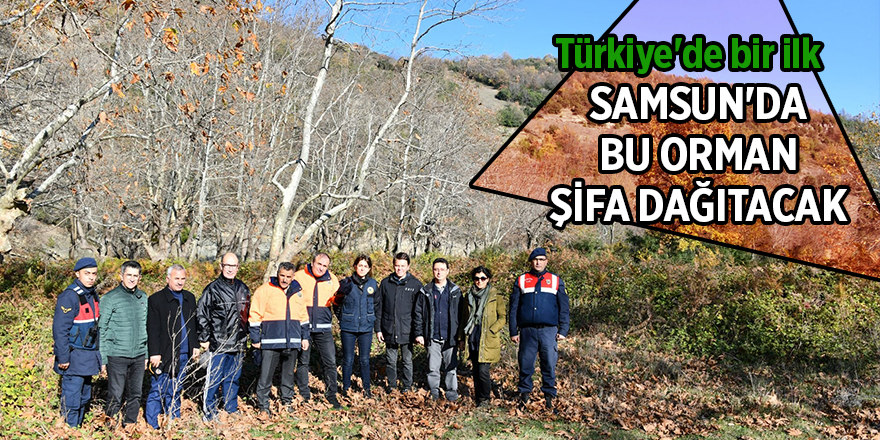 Samsun'a 5 milyon TL'lik şifa ormanı