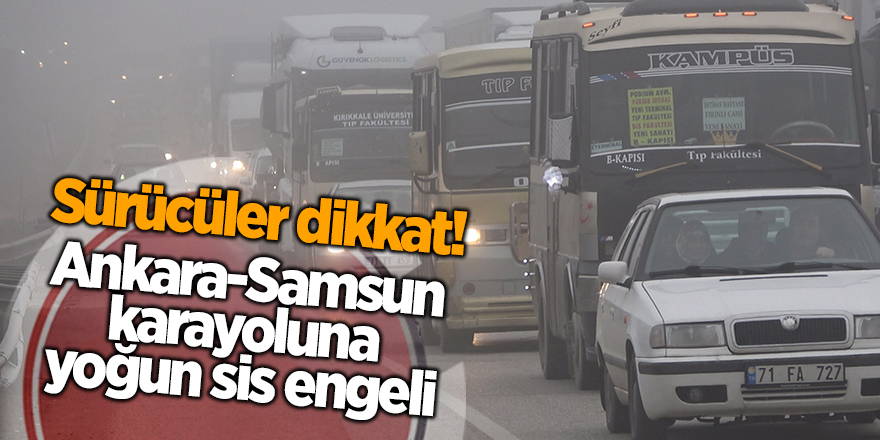 Ankara-Samsun karayoluna yoğun sis engeli