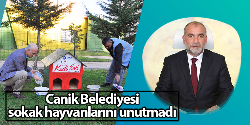 Canik’te kediler üşümeyecek