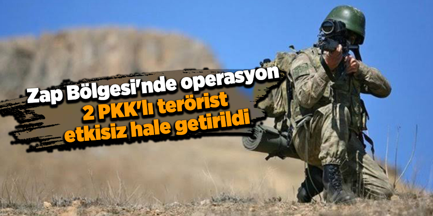 2 PKK'lı terörist etkisiz hale getirildi