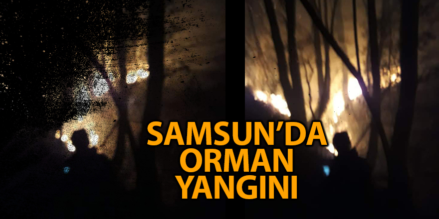 Samsun'da orman yangını