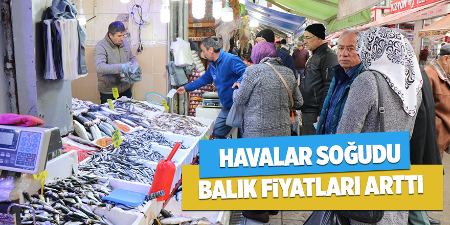 Havalar soğudu balık fiyatları arttı