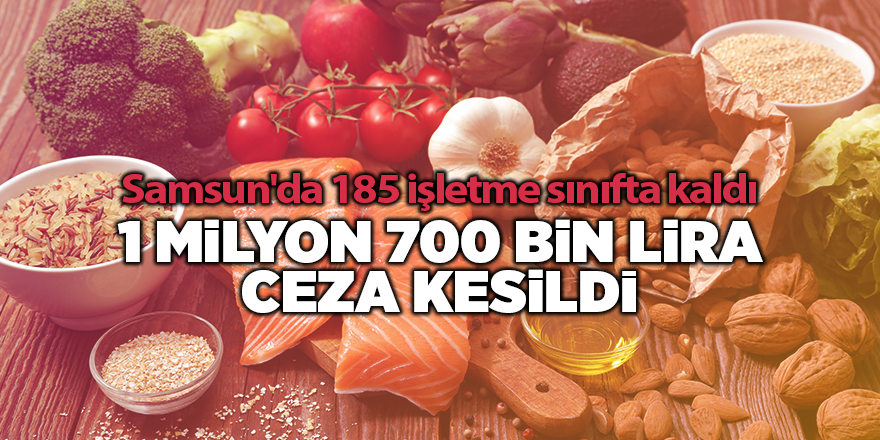 Samsun'da 185 işletme sınıfta kaldı