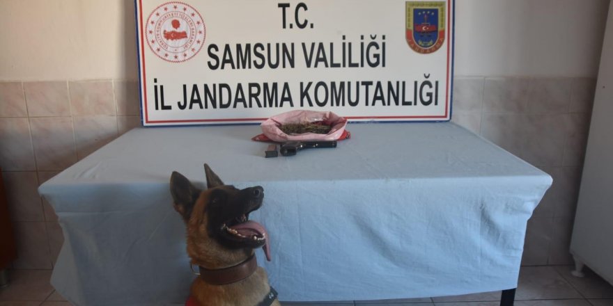 Samsun'da kubar esrar ele geçirildi