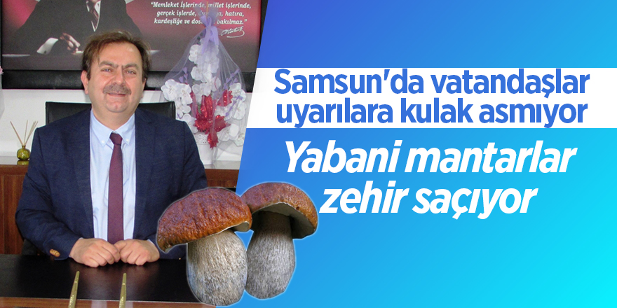 Samsun'da yabani mantarlar zehir saçıyor