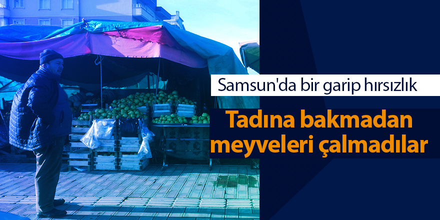 Samsun'da bir garip hırsızlık