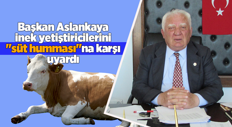 Başkan Aslankaya inek yetiştiricilerini "süt humması"na karşı uyardı