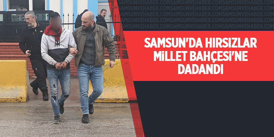 Samsun Millet Bahçesi'nden kablo çalındı