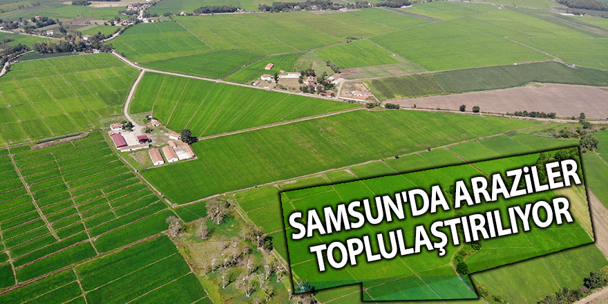 Samsun'da araziler toplulaştırılıyor