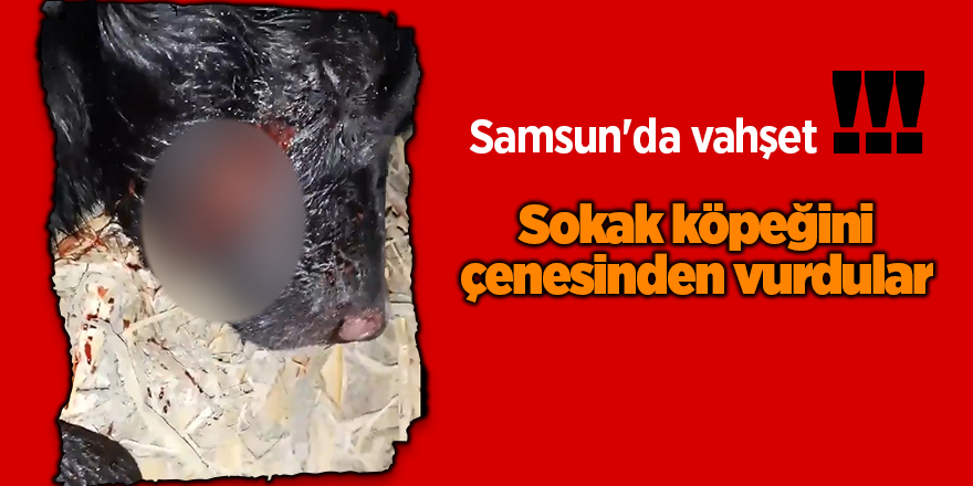 Samsun'da vahşet