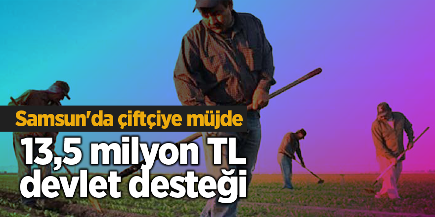 Samsun'da çiftçiye müjde