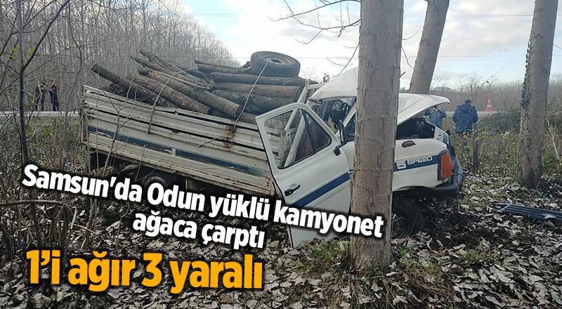 Samsun'da odun yüklü kamyonet ağaca çarptı