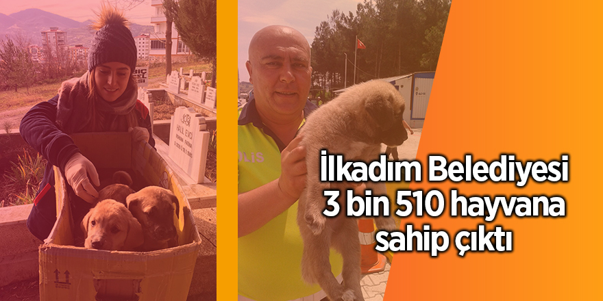 Başkan Demirtaş'tan sokak hayvanları için duyarlılık çağrısı