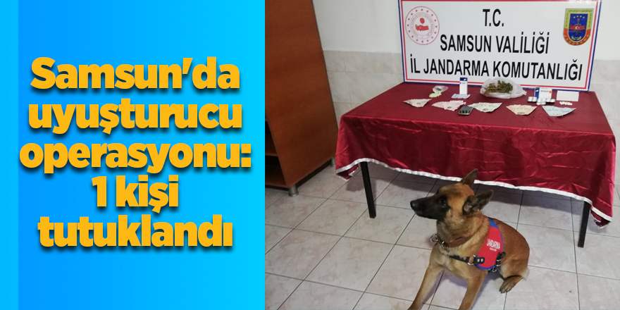 Samsun'da uyuşturucu operasyonu: 1 kişi tutuklandı