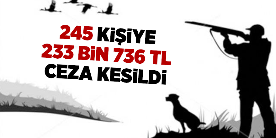 Samsun'da 245 kişiye 233 bin 736 TL ceza kesildi