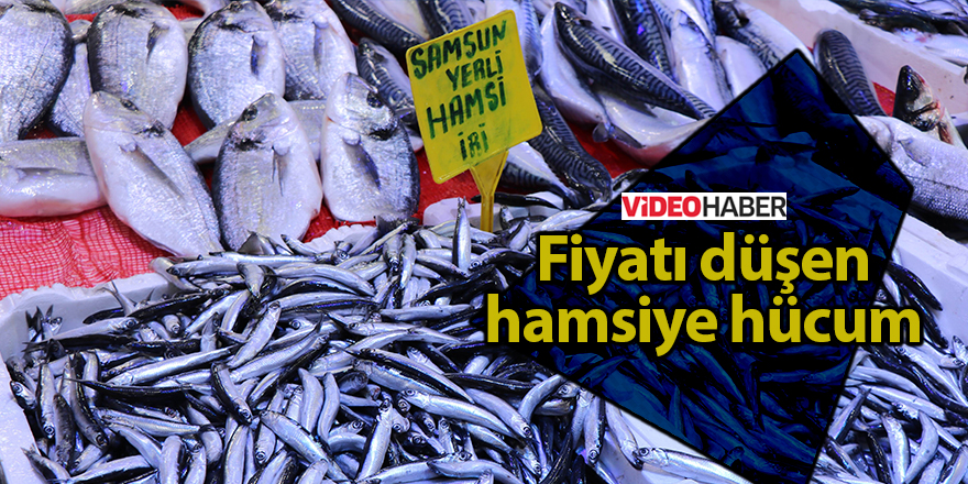 Fiyatı düşen hamsiye hücum