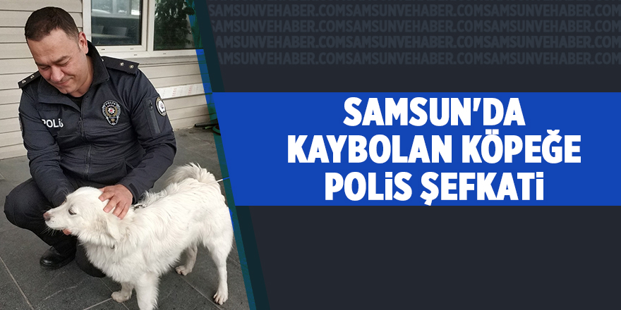 Samsun'da kaybolan köpeğe polis şefkati