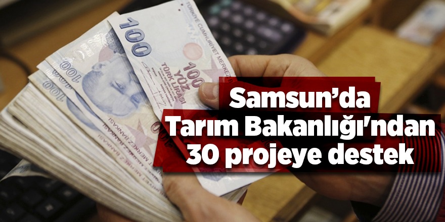 Samsun’da Tarım Bakanlığı'ndan 30 projeye destek