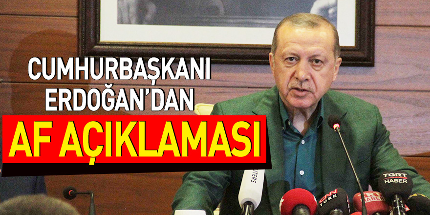 Cumhurbaşkanı Erdoğan'dan af açıklaması