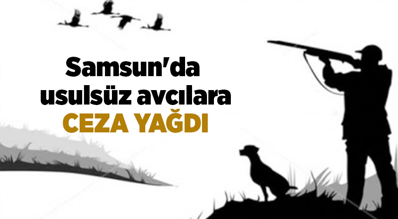 Samsun'da usulsüz avcılara ceza yağdı