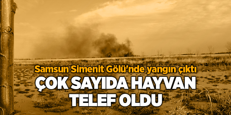 Samsun Simenit Gölü'nde yangın çıktı