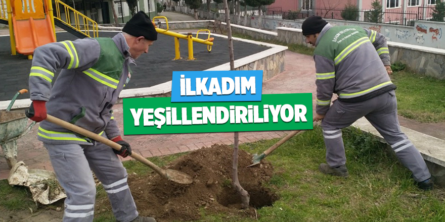 İlkadım yeşillendiriliyor