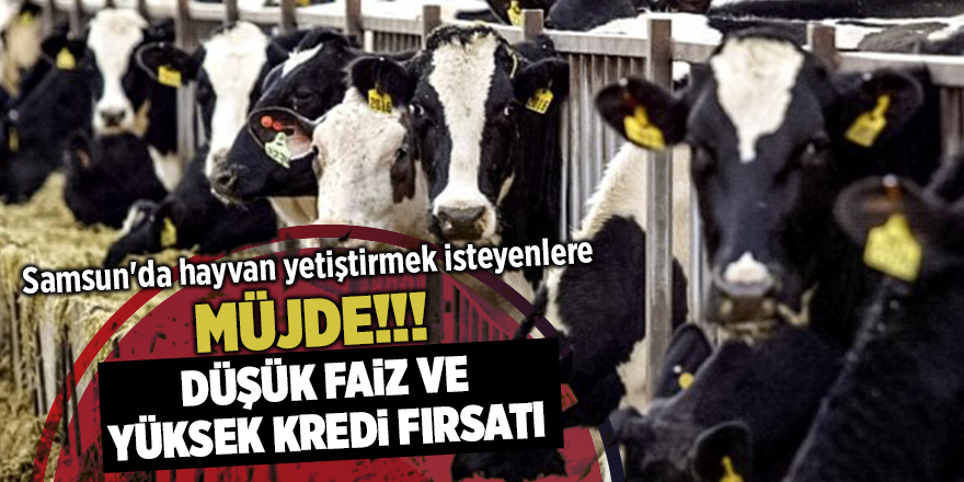 Samsun'da hayvan yetiştirmek isteyenlere müjde