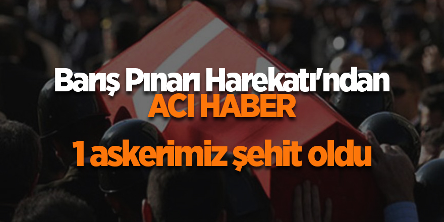 Barış Pınarı Harekatı'ndan acı haber