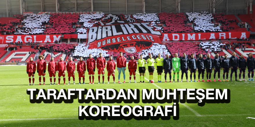 Samsunspor Haber - Taraftardan muhteşem koreografi