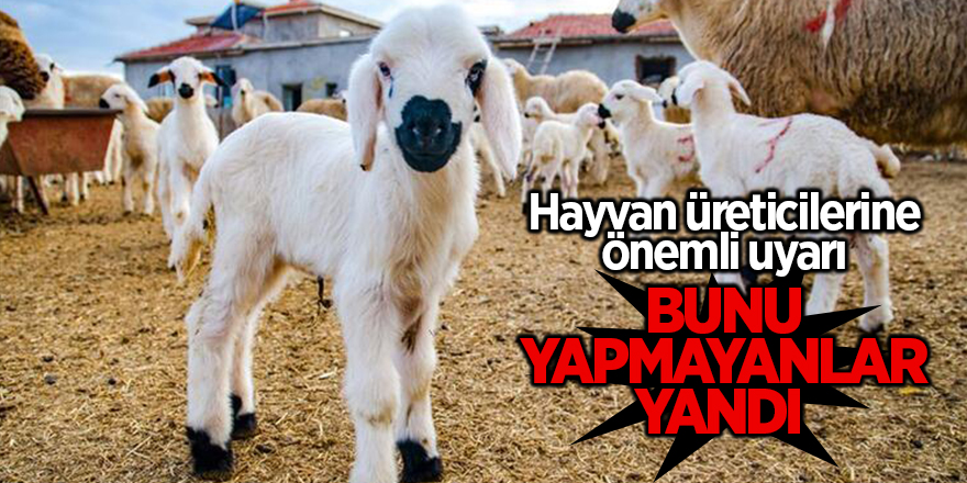 Hayvan üreticilerine önemli uyarı