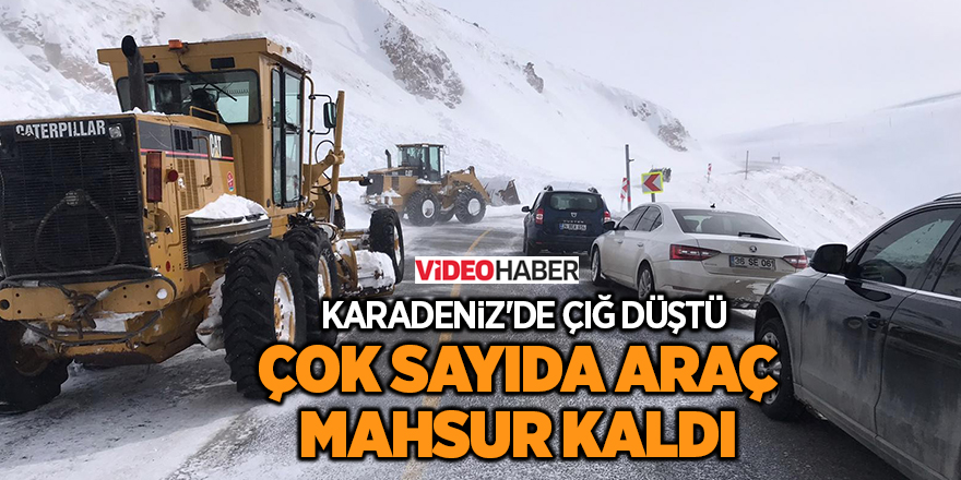 Karadeniz'de çığ düştü