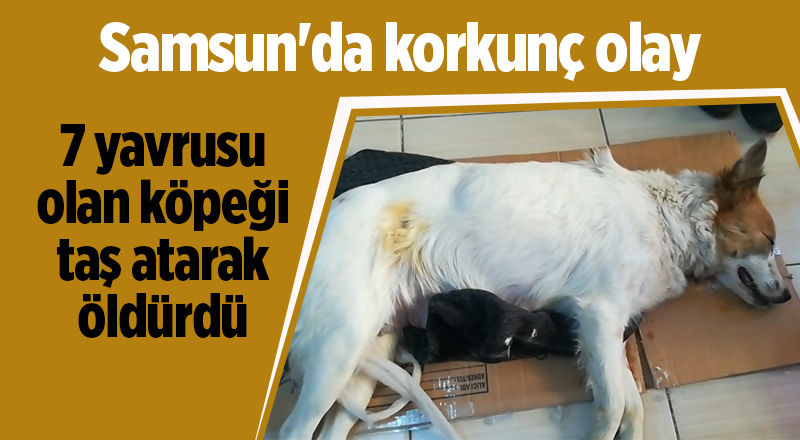 Samsun'da korkunç olay