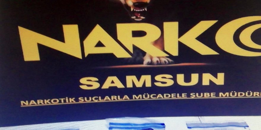 Samsun'da satışa hazır bonzai ile yakalandı