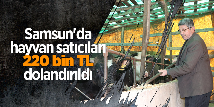 Samsun'da hayvan satıcıları 220 bin TL dolandırıldı