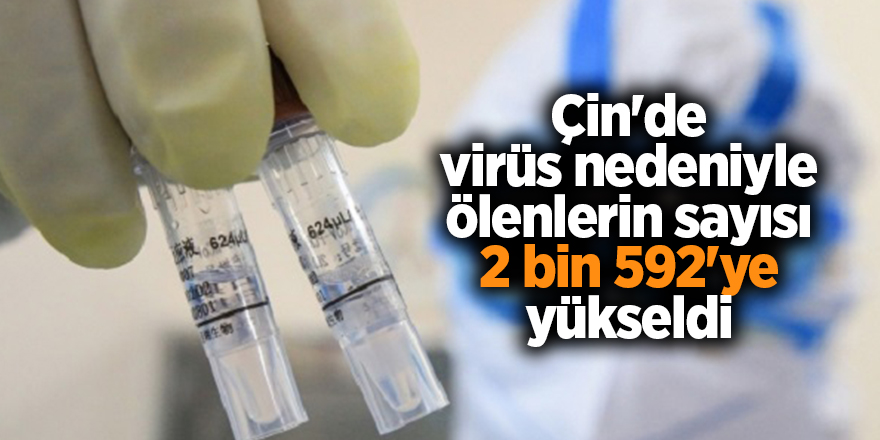 Çin'de virüs nedeniyle ölenlerin sayısı 2 bin 592'ye yükseldi