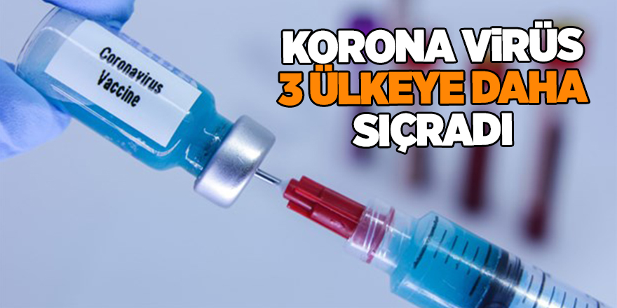 Korona virüs 3 ülkeye daha sıçradı