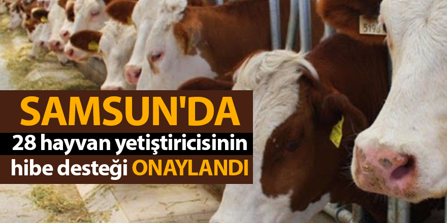 Samsun'da 28 hayvan yetiştiricisinin hibe desteği onaylandı