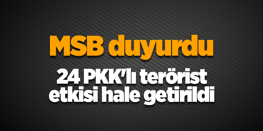 24 PKK'lı terörist etkisi hale getirildi